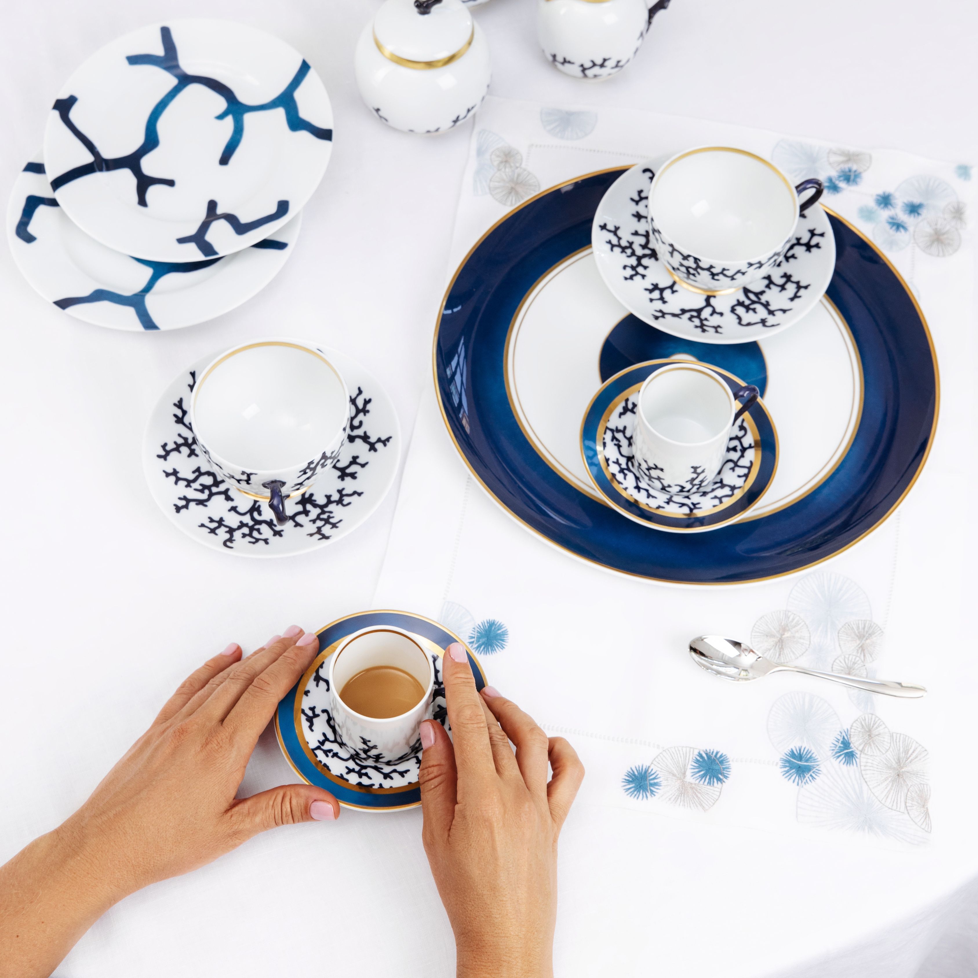 Raynaud Cristobal Marine dinnerware collection - MDMAISON